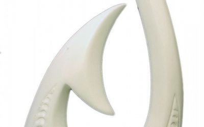 Bone horn necklace with New Zealand touch