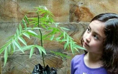 Step by step to become eco friendly