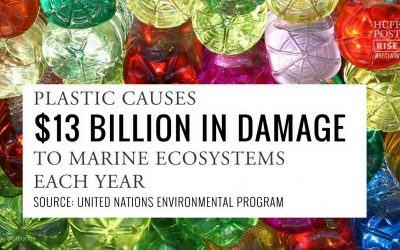 Turning plastic bottles into a sustanable fabric