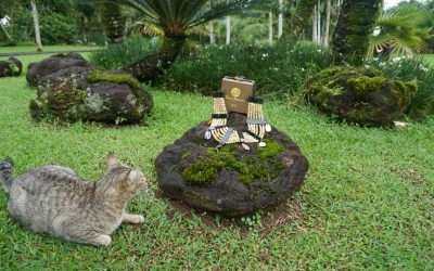 How to be a more eco-consumer