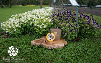 The prediction for Eco-fashion in 2018