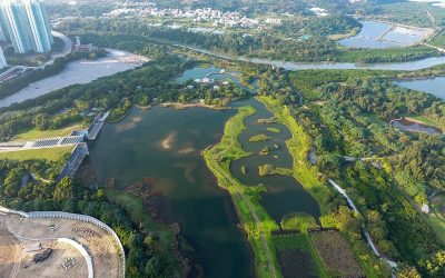 The eco side of Hong Kong: Top 5 nature reserves