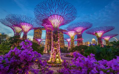 Asia’s greenest country’s wants to help the world be more sustainable