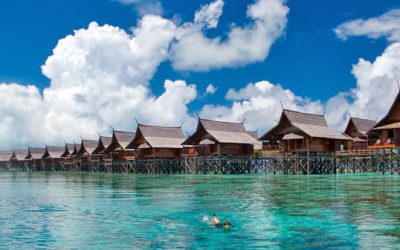 Eco-Friendly Lodging in Kalimantan