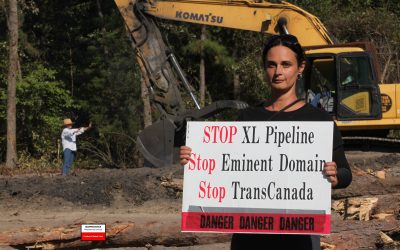 Julia Hill, 738 days beautiful “Tree sitter”