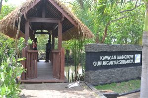 surabaya mangrove