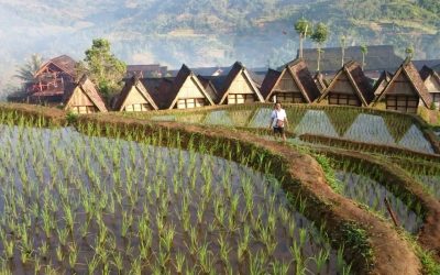 Exploring Kampung Ciptagelar