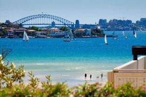 harbor sydney rose bay