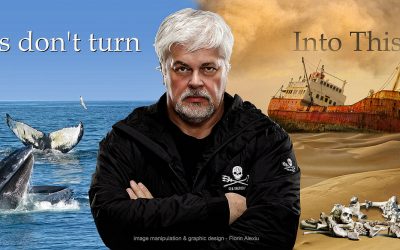 Paul Watson, from Greenpeace to Sea Shepherd