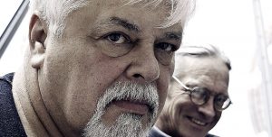 paul watson