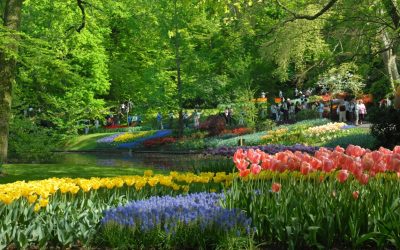 The meaning of Ecotourism