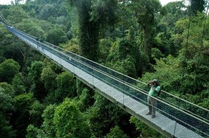 bukit timah singapore