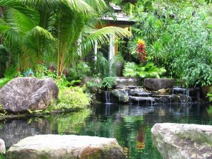 phuket botanic garden