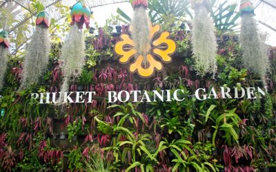 Phuket Botanic Garden