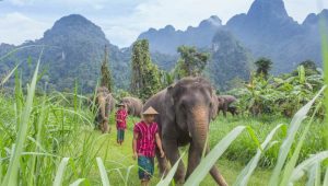 khao sok national park