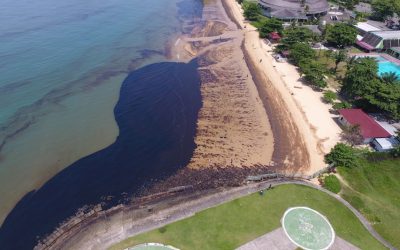 The Oil Spill in Balikpapan Destroying the Environment