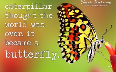 Butterfly is the inspiration for this design