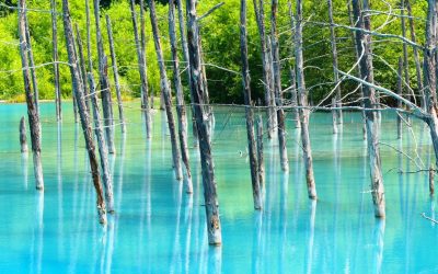Blue Pond Hokkaido a Beautiful Nature from Japan