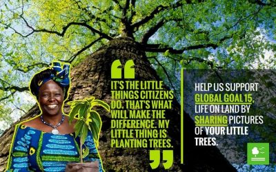 Wangari Maathai Environmental Hero from Kenya