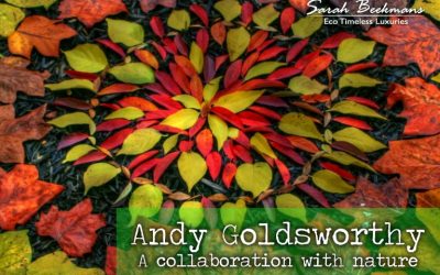 A collaboration with nature