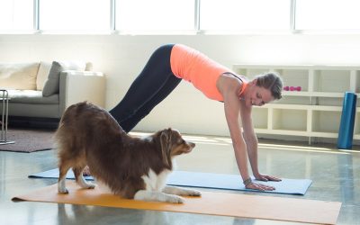 Doga, Yoga with your beloved Dogs