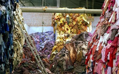 Breaking Fast Fashion A Series of Codes of Conduct