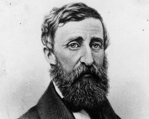 henry david thoreau