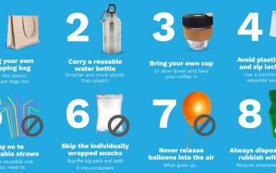 Loving the Earth in a Simple Way