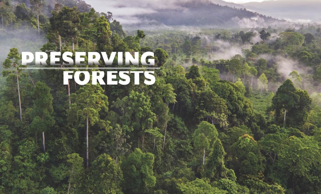 preserving the forest