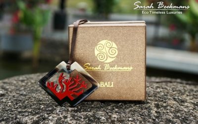 Coral reef is one of our inspiration