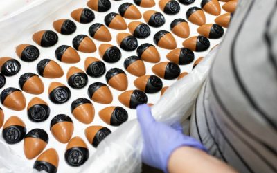 Lush Egg Foundation that is Environmentally Friendly