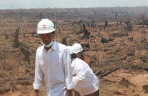 maintaining the nature of indonesia Menjaga Alam Indonesia