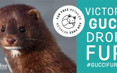 List of Fur Free Luxury Brands