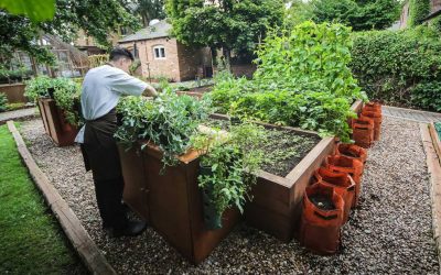 5 Restaurants With Zero Waste in England