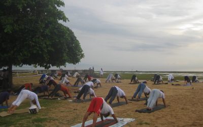 Free Yoga Class in Bali? It’s Possible