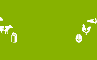 Reducetarian : What is it and Why You Should Try It