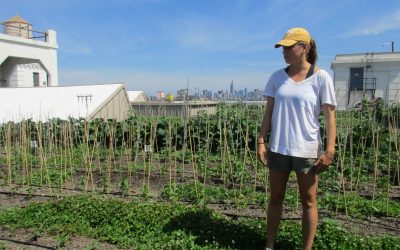 Michelle Cashen Quit a Desk Job To Work on a Rooftop Farm