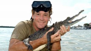 steve irwin