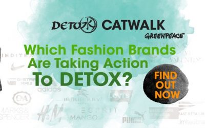 What is Greenpeace Detox catwalk Campaign?