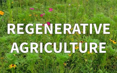 Regenerative Agriculture is a Solutions for Sustainable Fashion